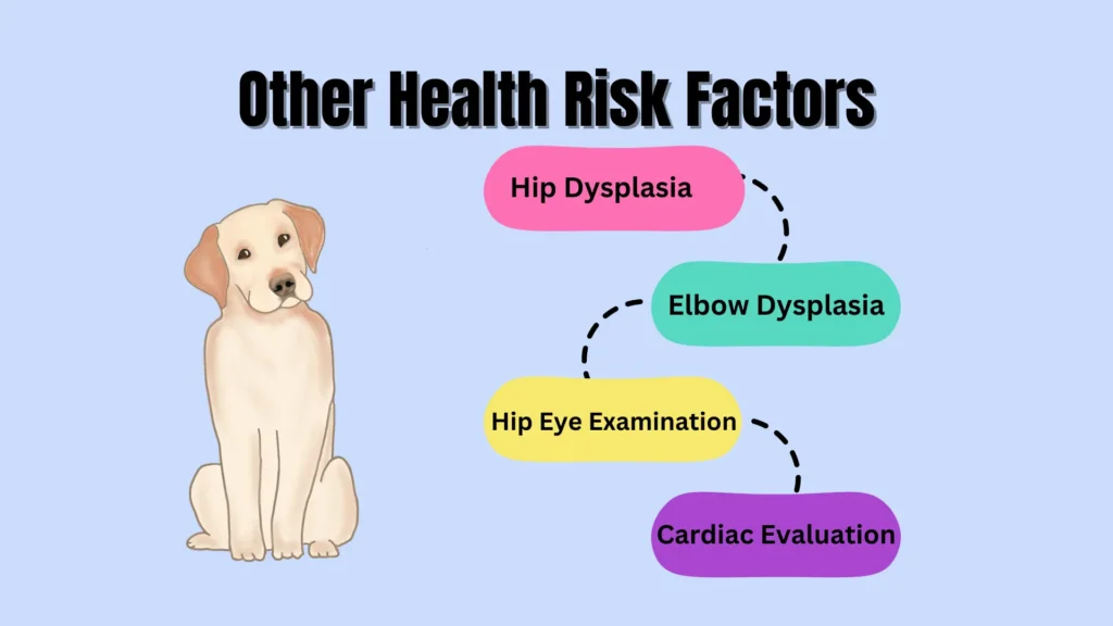 Rare Genetic Health Risk Factors