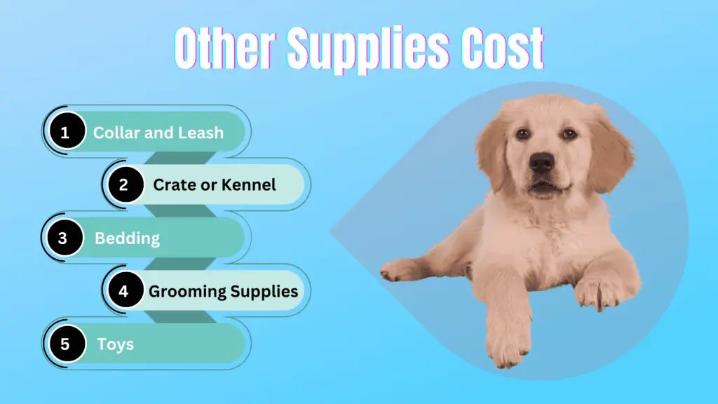 other supplies cost