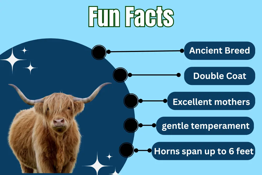 fun facts