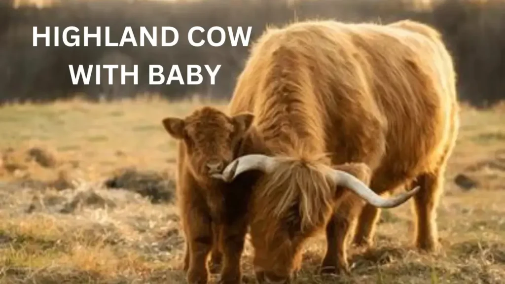 MINI COW WITH BABY