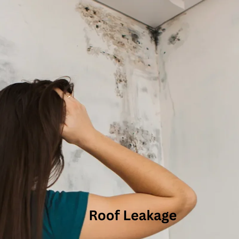 Roof Leak Repair service