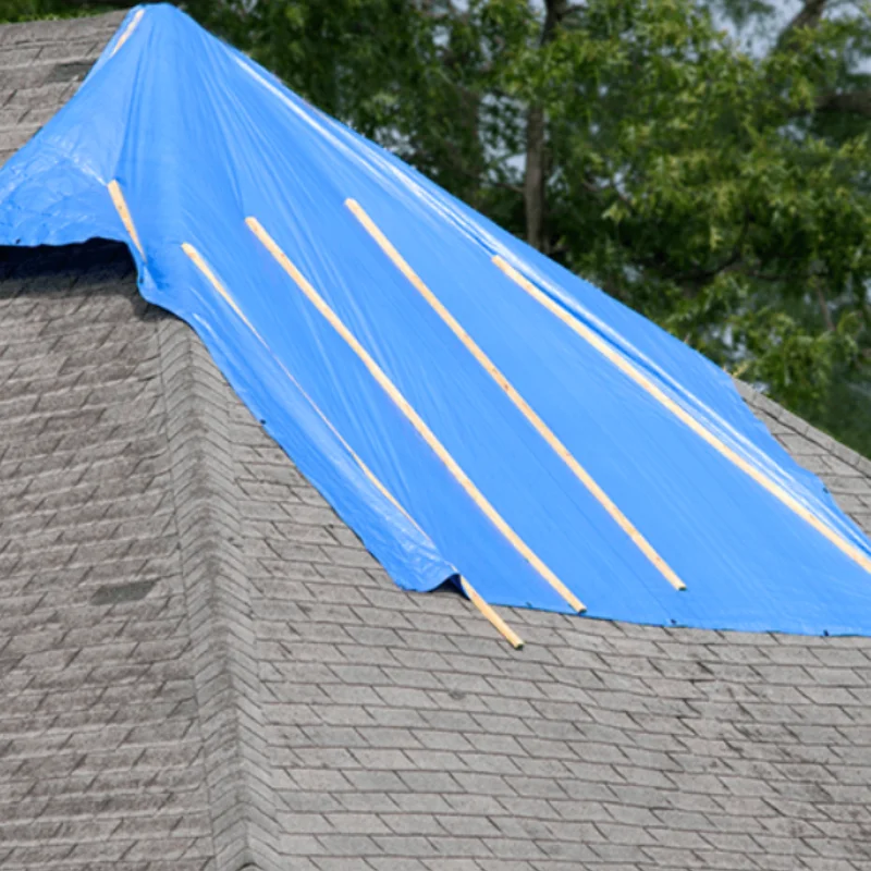 Roof Leak Repair